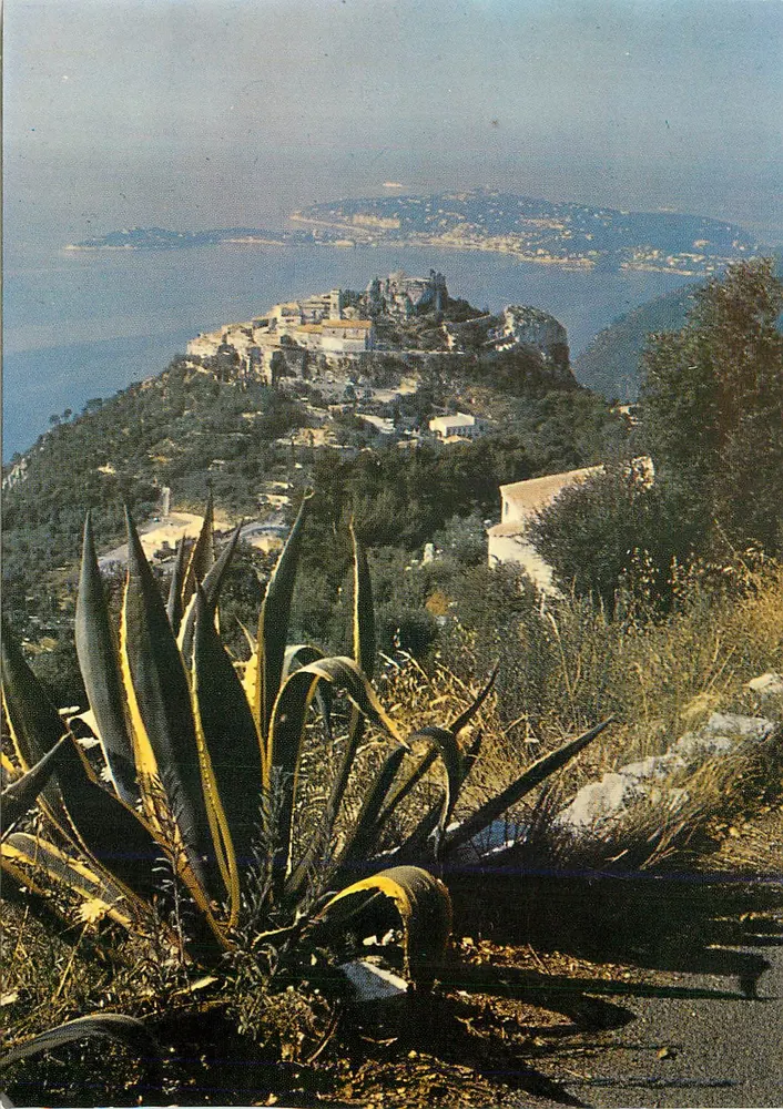 Vista dell'isola di Porquerolles — Francia — editore non visibile - Recto