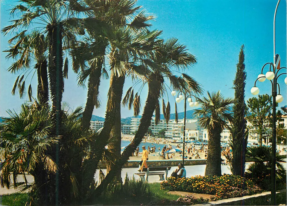 Strand und Palmen in Cannes — Panoramablick — Verlag nicht sichtbar - Vorderseite