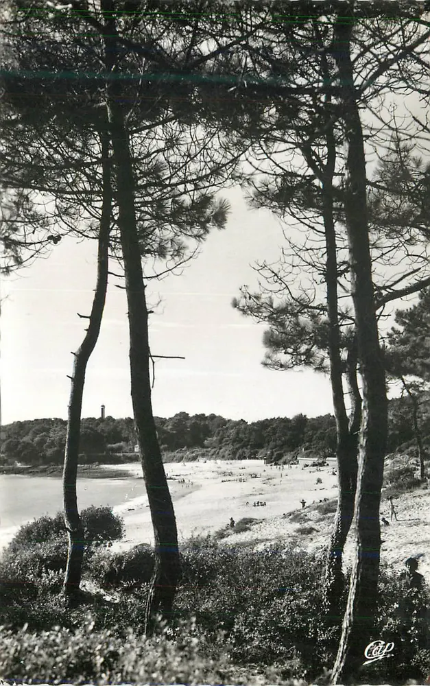 Plage de la Pointe du Cap Fréhel — vue depuis les pins — éditeur CAP - Recto