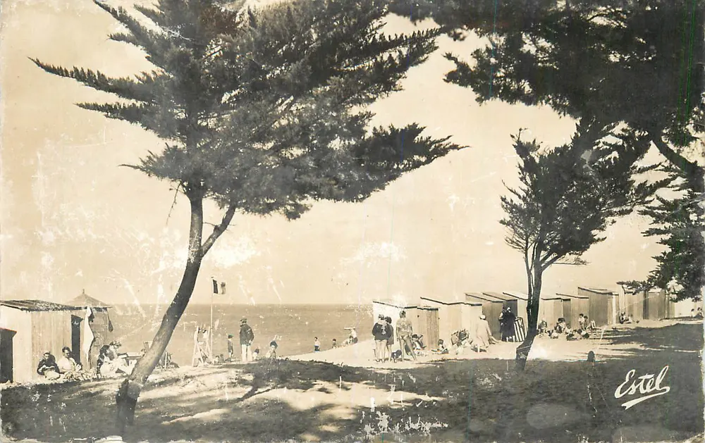 Praia de Sainte-Adresse — cabanas e pinheiro-cipreste — Estel - Frente