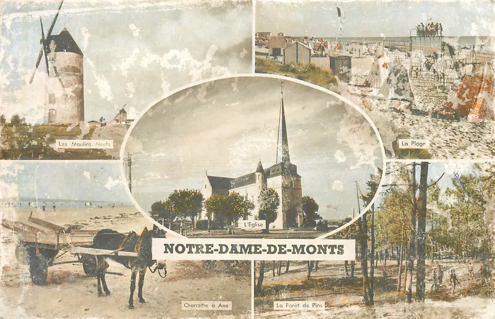 Notre-Dame-de-Monts — vista panorâmica — editor e número de série ilegíveis - Frente