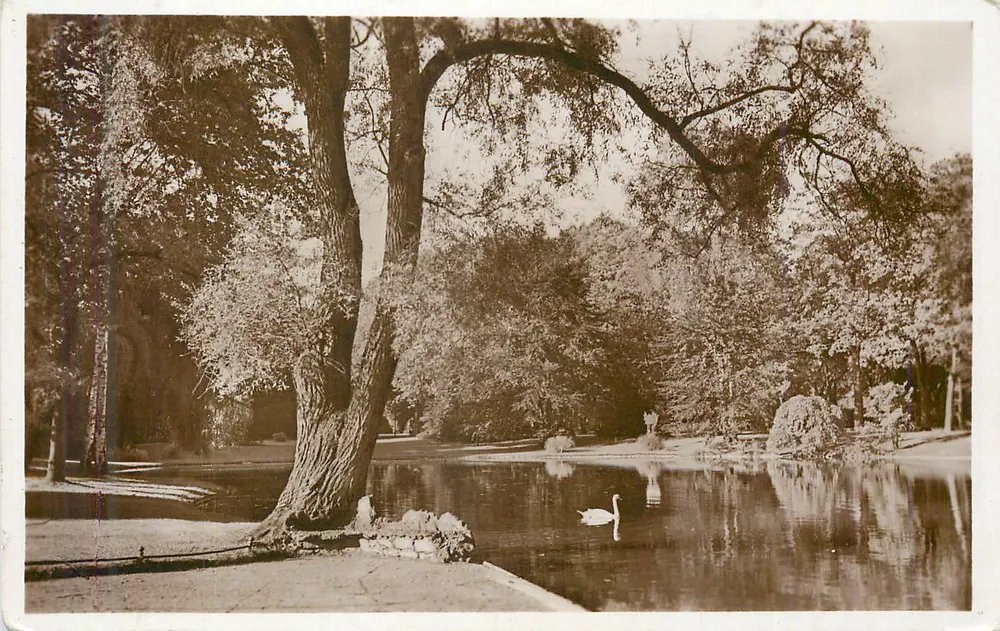 Paisagem de parque com cisne — editor não identificável - Frente