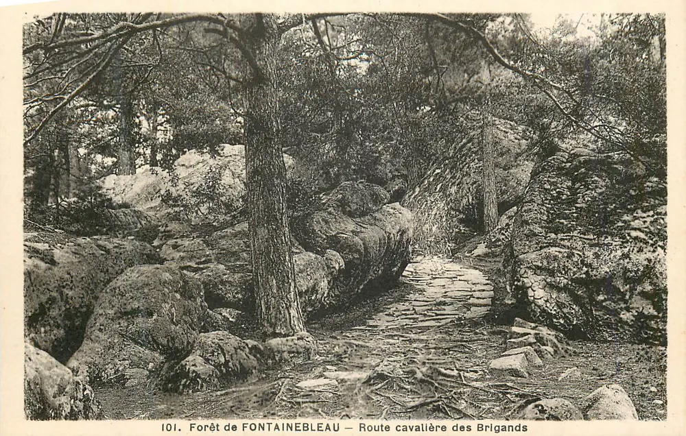 Forêt de FONTAINEBLEAU — Route cavalière des Brigands — n°101 - Recto