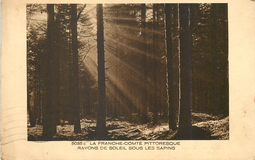 La Franche-Comté pittoresque — Rayons de soleil sous les sapins — série 5035 c - Recto