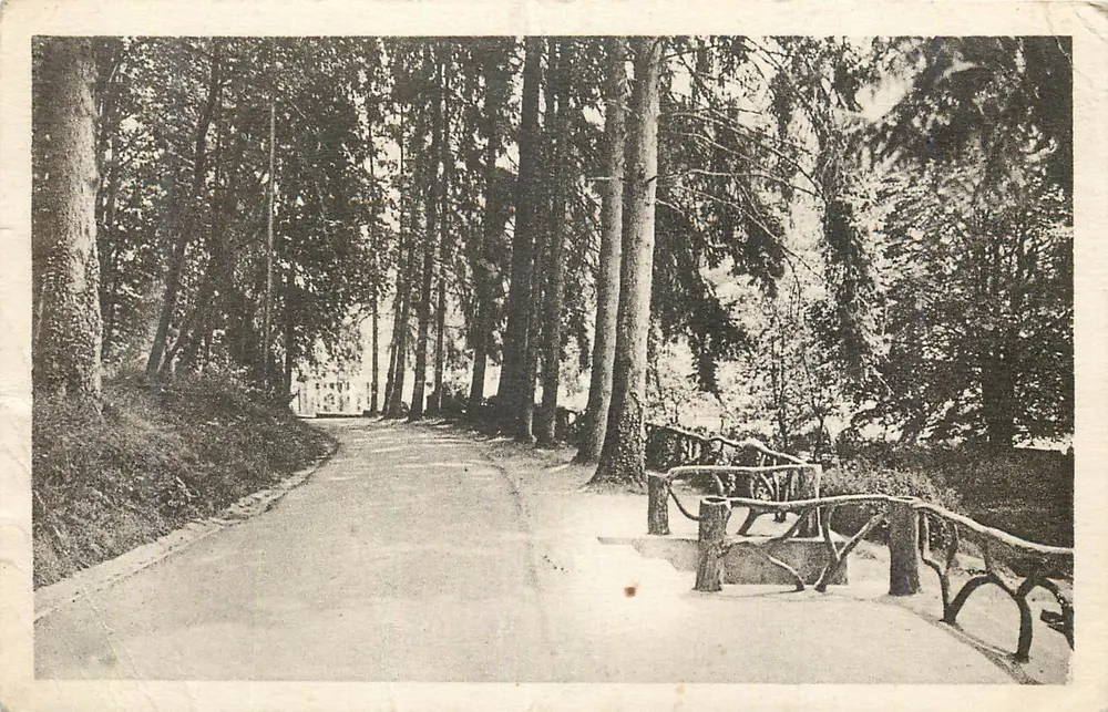 Allée forestière — sentier bordé d'arbres et de garde-corps en bois — éditeur non visible - Recto