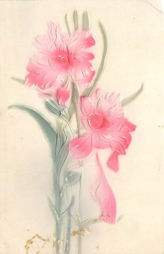 Fleurs roses — glaïeuls en relief — éditeur non visible - Frente