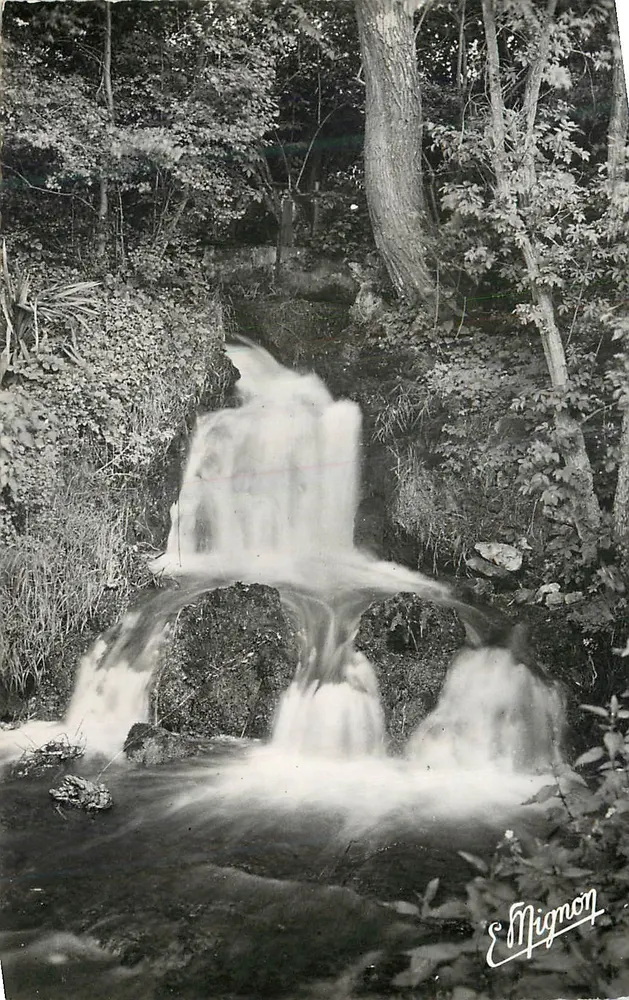 Wasserfall im Wald — Verleger S. Mignon - Vorderseite