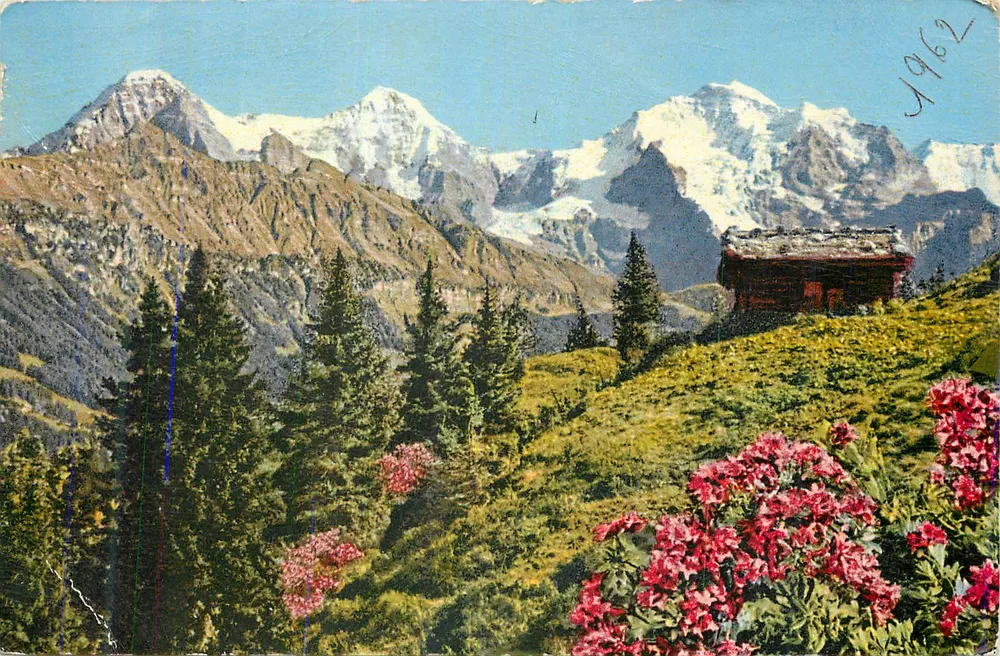 बर्फ से ढकी पर्वत — एल्पीयन झोपड़ी और फूल — अज्ञात प्रकाशक, श्रृंखला संख्या अदृश्य - आगे
