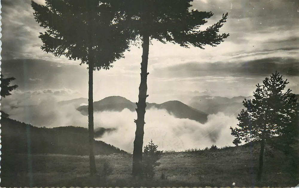 Vista de montanha com floresta — editor não identificável - Frente
