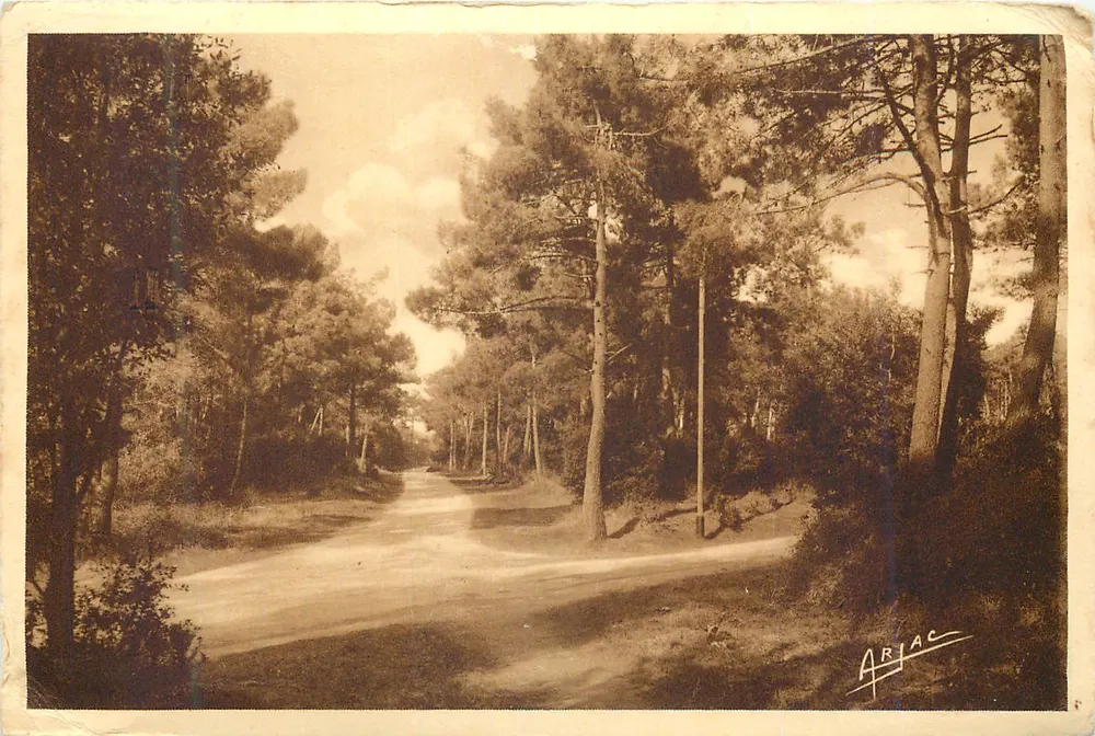 Estrada florestal em Ariège — Ariac, editor - Frente