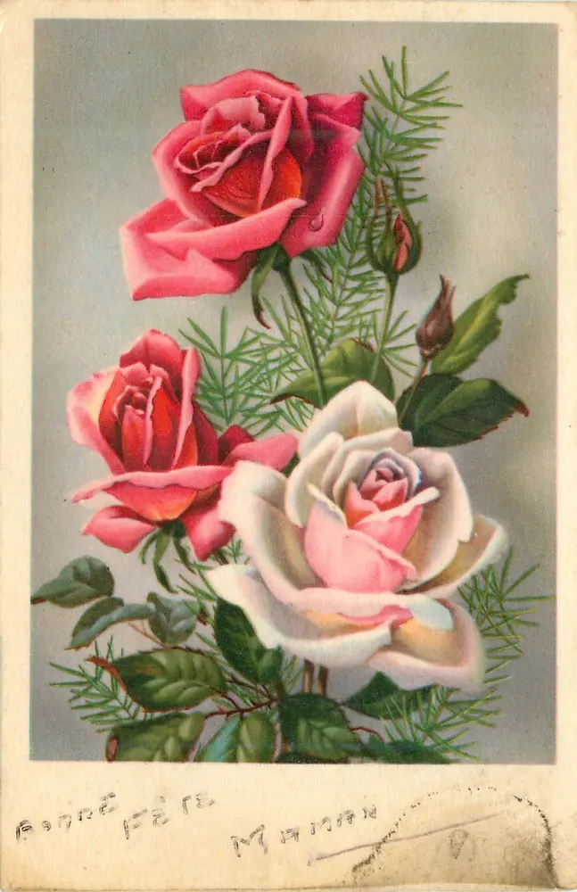 Roses — buquê com galhos de pinheiro — editor desconhecido - Frente