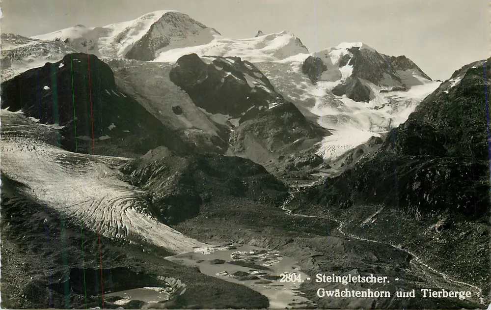 Gwächtenhorn und Tierberge — 2804 — Steingletscher - Frente