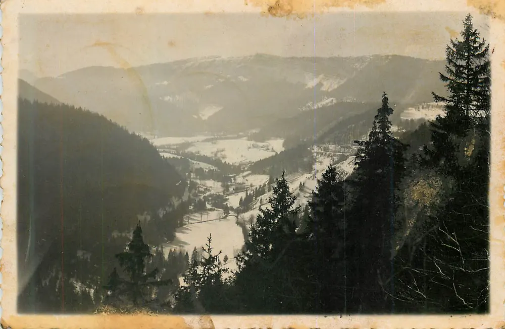 Aussicht auf eine schneedeckte Tal — Berge und Wälder — kein Verleger oder Nummer sichtbar - Vorderseite