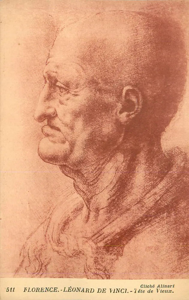 Florence - Léonard de Vinci - Tête de Vieux - Cliché Alinari - Recto