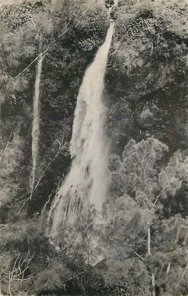 Wasserfall in einem Wald — Verleger unbekannt - Vorderseite