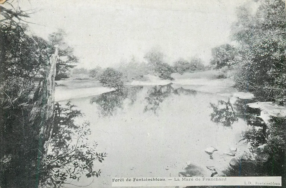Forêt de Fontainebleau — La Mare de Franchard — L.D. Fontainebleau - Recto