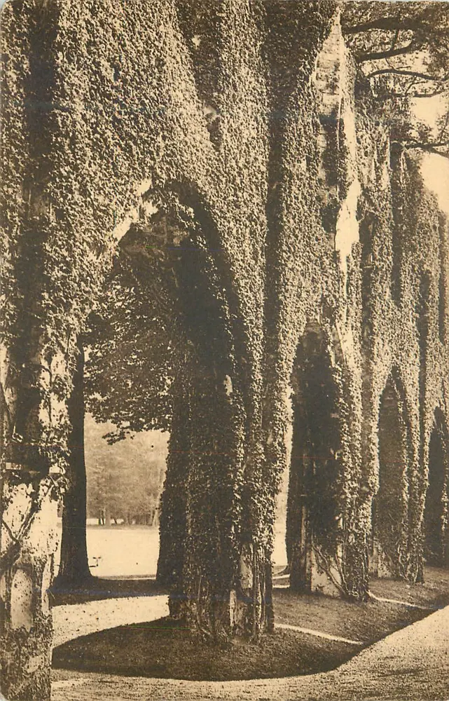 Avenue von Efeu-überzogenen Bäumen — Schloss de la Muette — Paris - Vorderseite