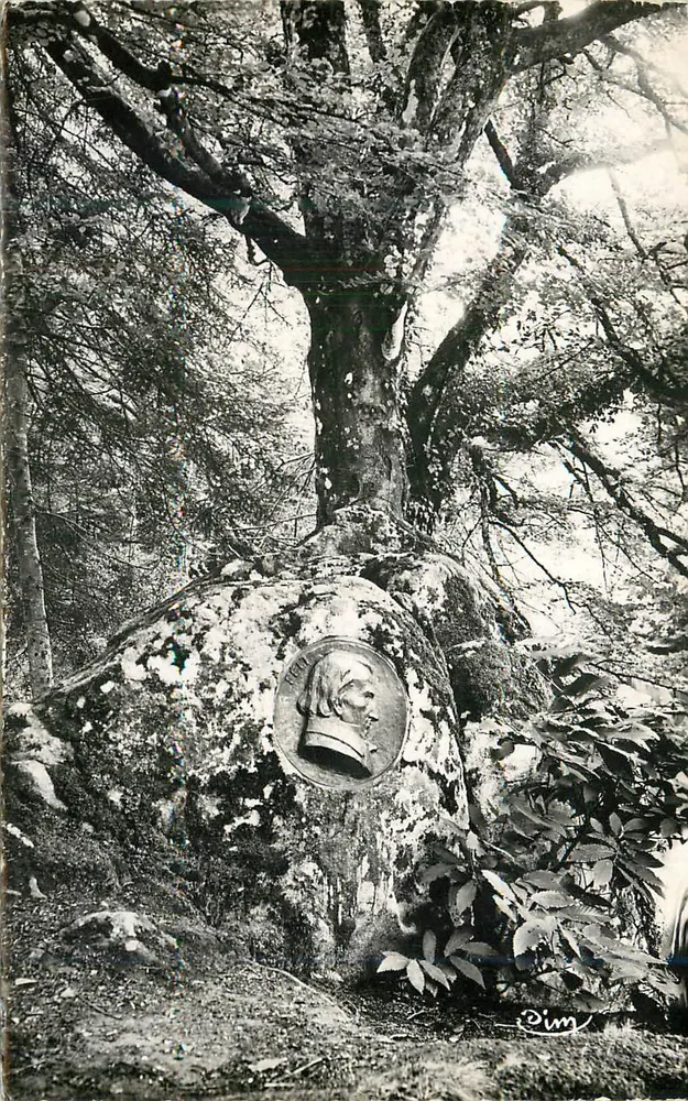 Bemerkenswerter Baum mit Medaille — Pim - Vorderseite