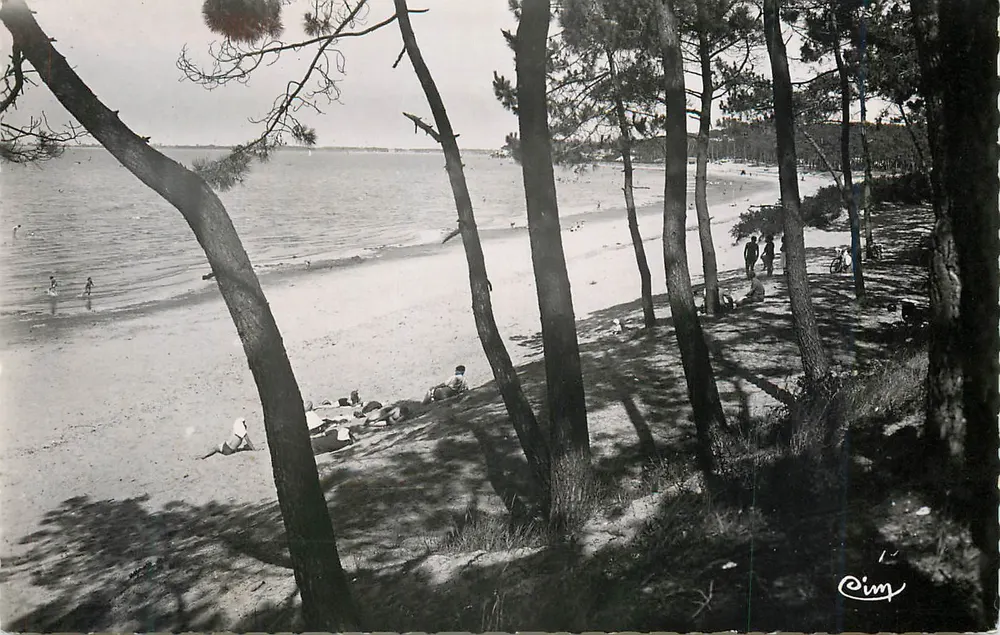 Strand van Pinus — uitzicht vanaf de pijnbomen — Cim - Voorkant