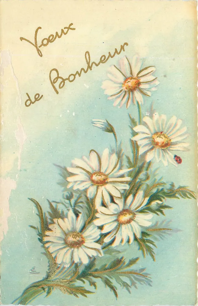 Flores de margaridas — Desejos de Felicidade — editor desconhecido - Frente