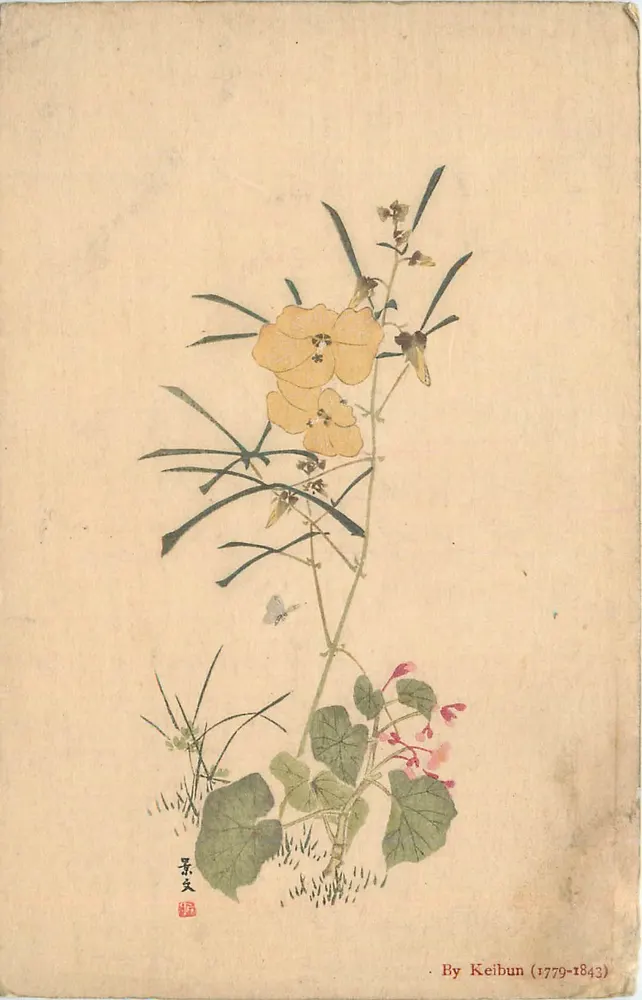 Flor amarela e plantas — obra de Keibun (1779-1843) - Frente