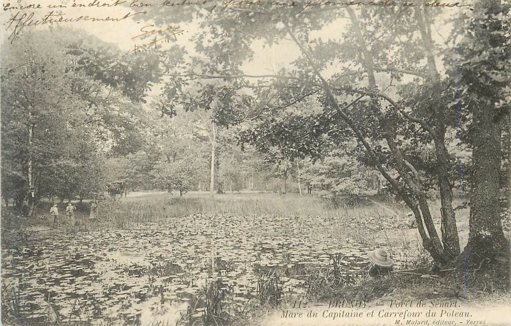 Brunoy — Forêt de Sénart. Mare du Capitaine und Carrefour du Poteau — M. Mulard, Verlag, Yerres - Vorderseite