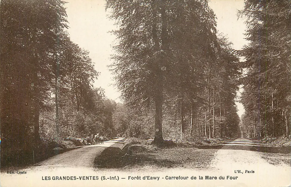 Les Grandes-Ventes (S.-Inf.) — Wald von Eawy — Kreuzung der Mare du Four — Édit. Conte - Vorderseite