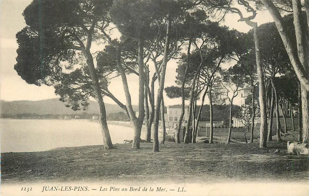 Juan-les-Pins — Die Pinien am Meer — LL. - Vorderseite