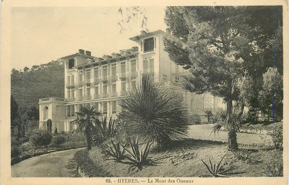 Hyères - Le Mont des Oiscaux — editor não identificado, n° de série 65 - Frente