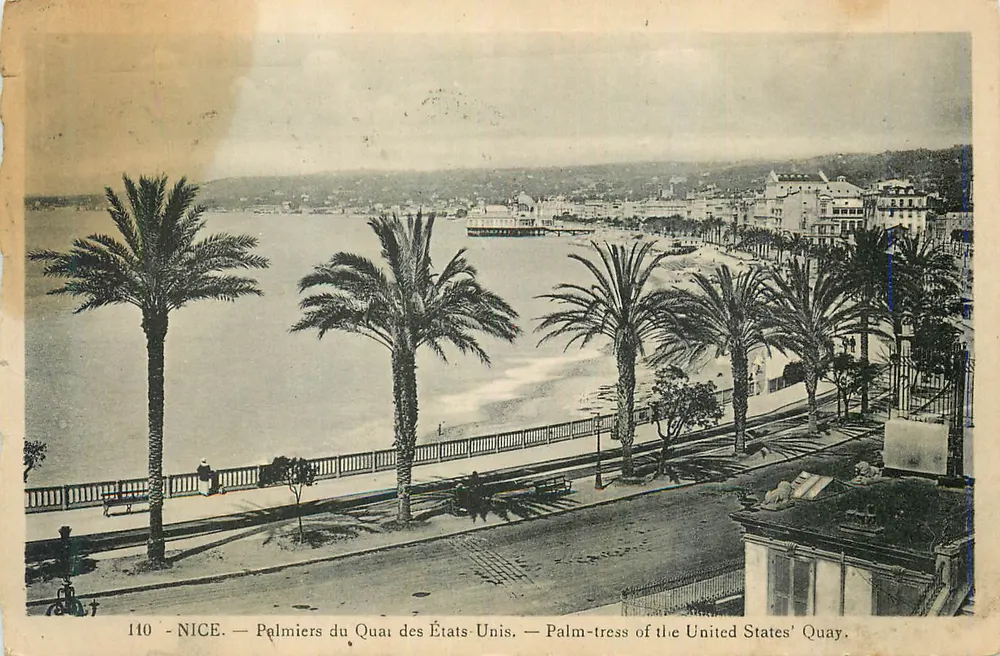 Nice — Palmiers du Quai des États-Unis — 110 - Recto