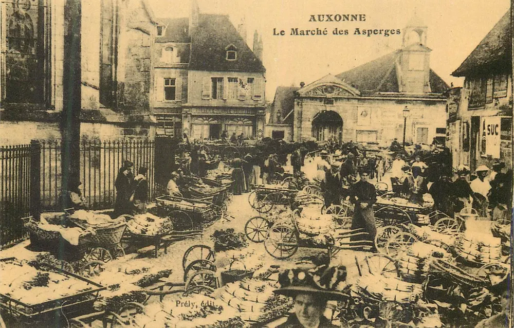 Auxonne — O Mercado das Aspargos — Prély, editora - Frente