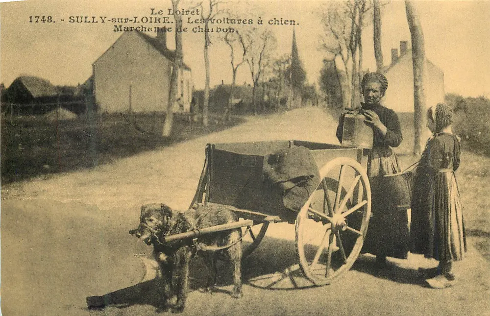 Sully-sur-Loire — Kutschen mit Hunden. Kohlengewerberin. - Vorderseite