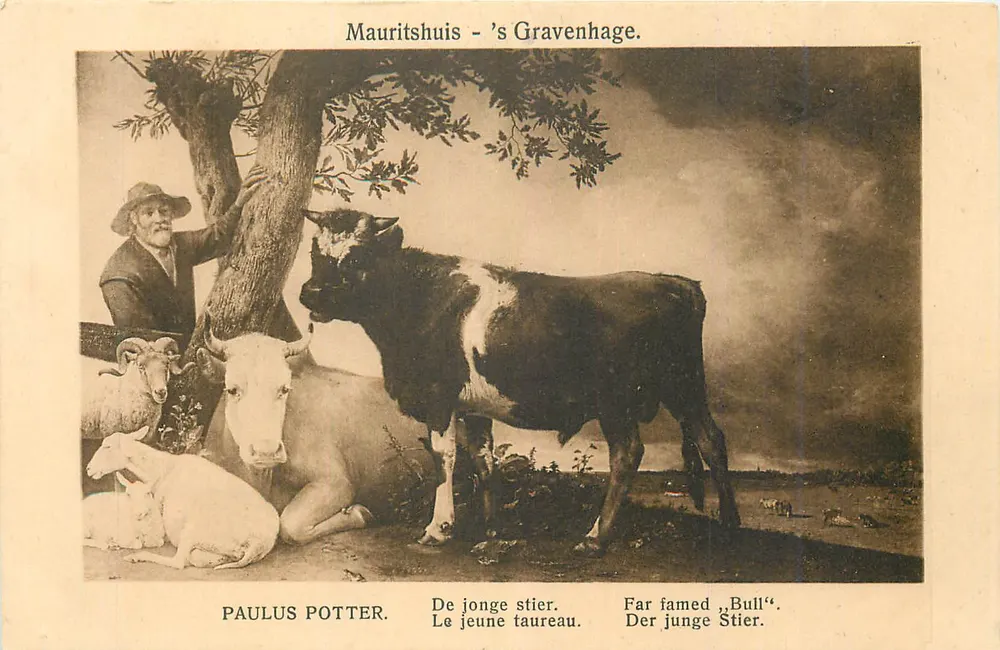 Mauritshuis - Den Haag — Paulus Potter — Der junge Stier - Vorderseite
