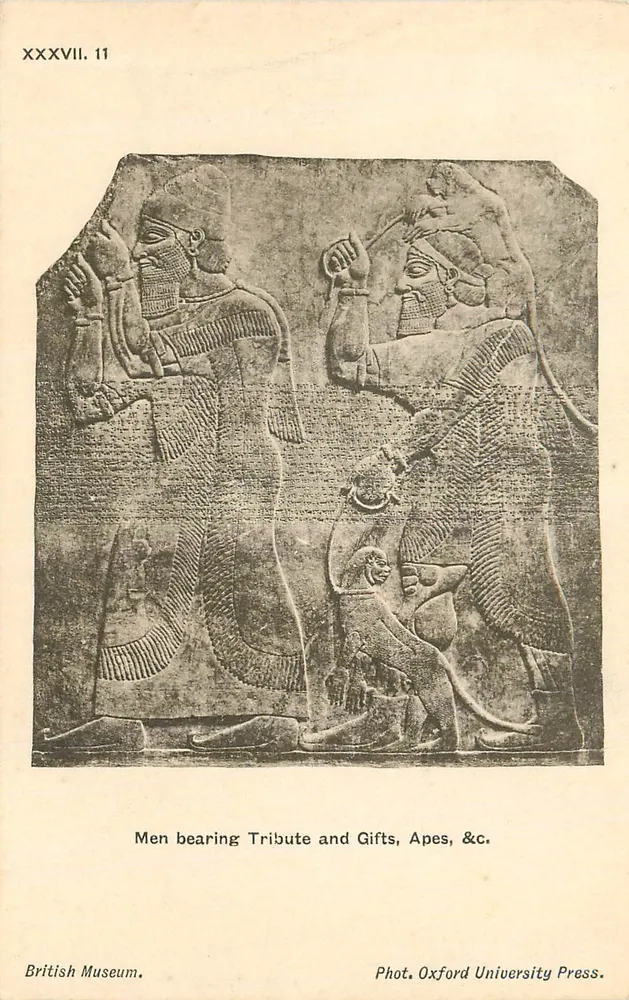 Männer, die Tribut und Gaben bringen, Affen usw. — British Museum — Oxford University Press, Nr. XXXVII. 11 - Vorderseite