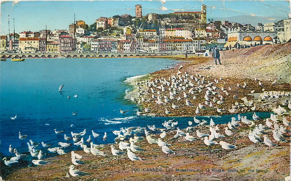 CANNES — As Garças na Praia — Edições L. C. n° 200 - Frente