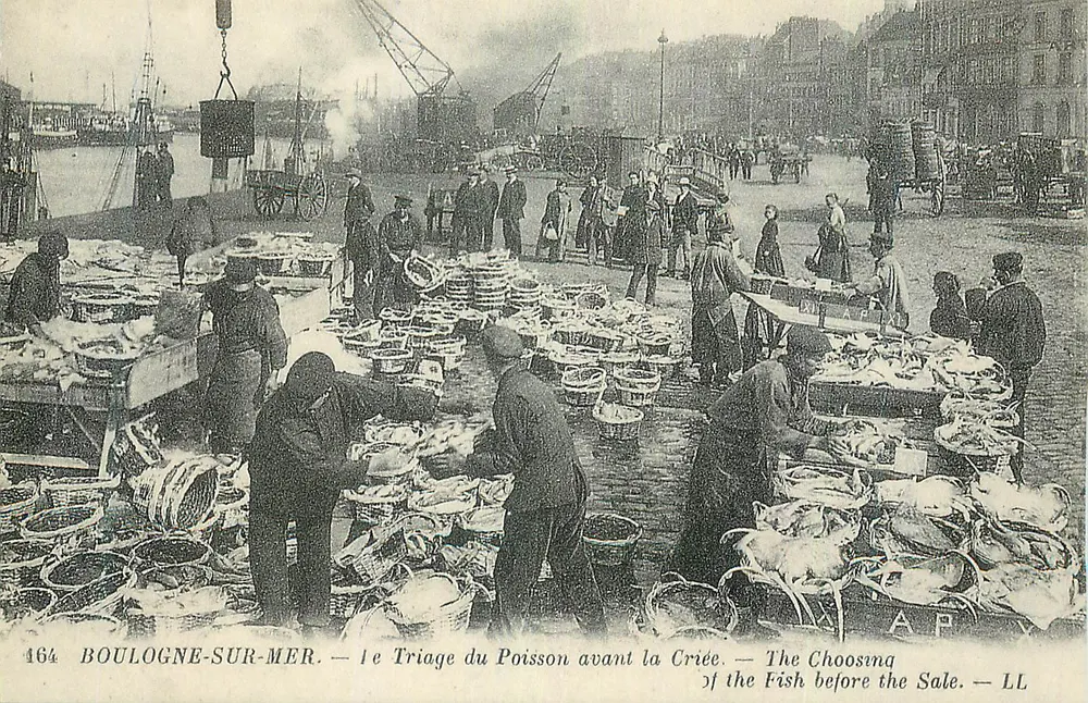 Boulogne-sur-Mer — Triage du Poisson avant la Criée — AP — n° 164 - Recto