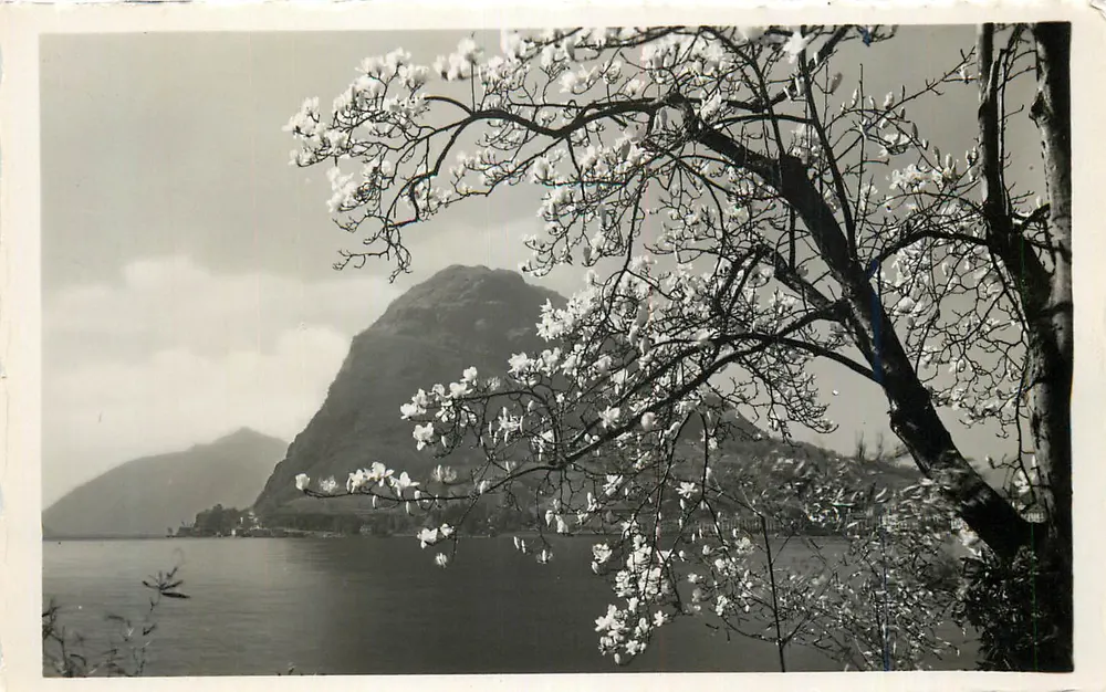 Uitzicht op het meer met bloeiende magnolia — uitgever onbekend - Voorkant