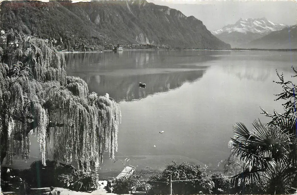 Lac Léman — vue panoramique avec montagnes enneigées — éditeur non identifiable - Recto
