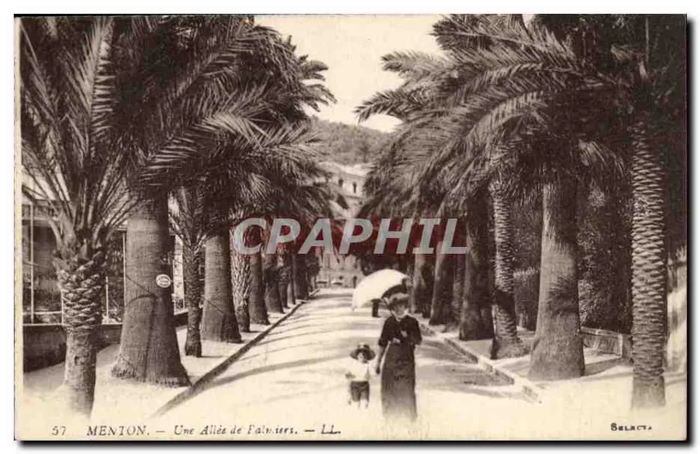 Menton — Uma Avenida de Palmeiras — Selacta - Frente