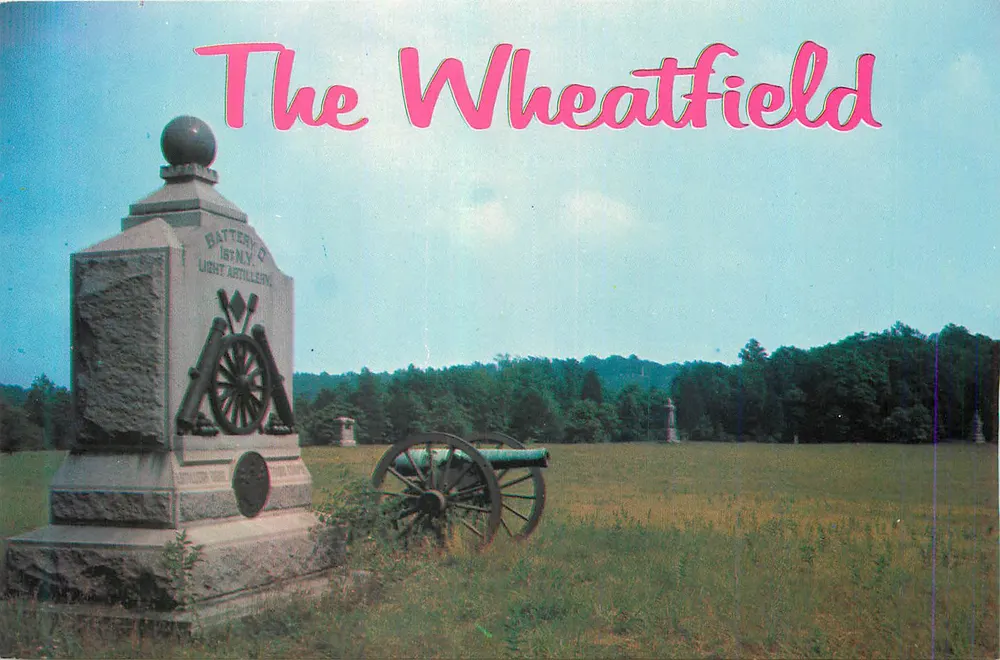 The Wheatfield — Battery D, 1st N.Y. Light Artillery — monumento e canhão - Frente