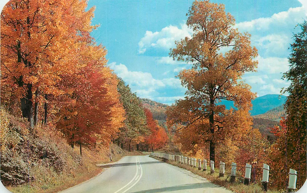 Route de montagne en automne — Éditeur non visible - Recto
