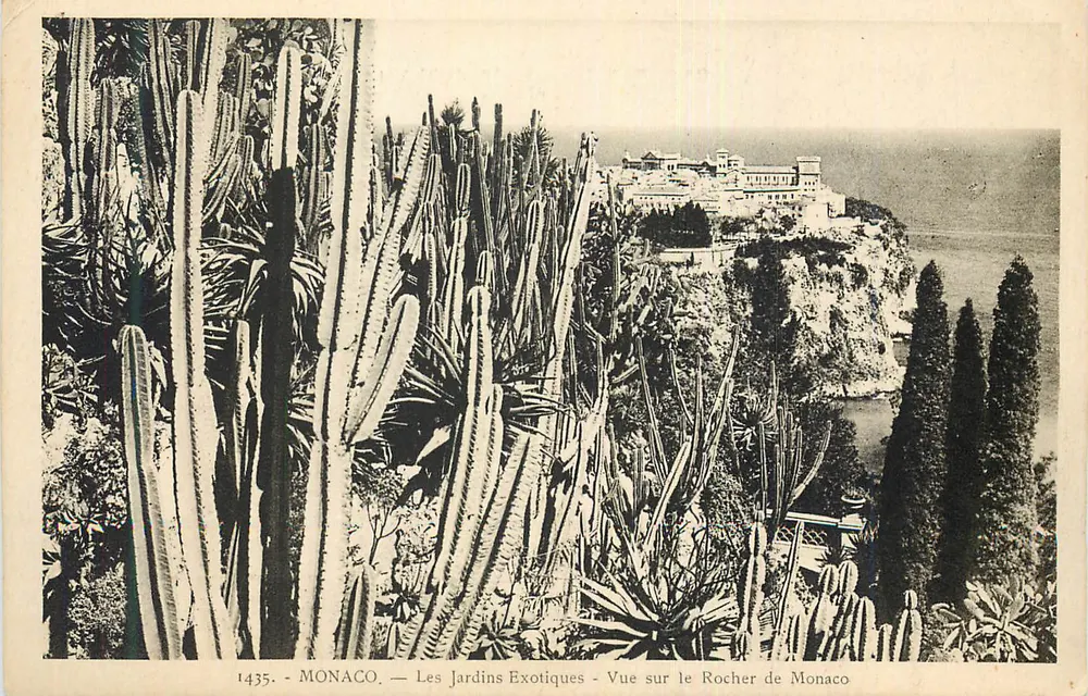 Monaco — Die Exotischen Gärten — Ansicht des Rochers von Monaco — Verlag nicht sichtbar, Seriennummer 1435 - Vorderseite