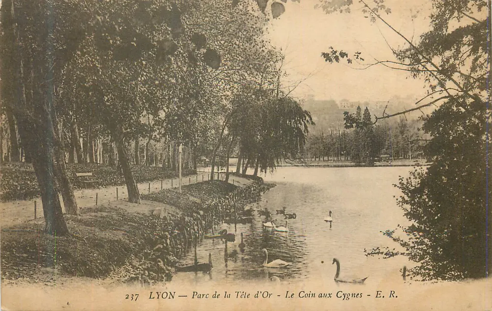 LYON — Parc de la Tête d'Or — Le Coin aux Cygnes — E. R. - Vorderseite