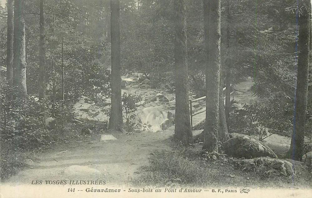 Gérardmer - Wald unter dem Pont d'Amour — LES VOSGES ILLUSTRÉES 141 — B.F., PARIS - Vorderseite