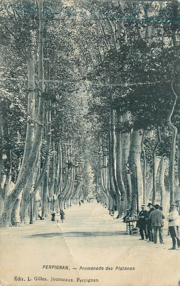 Perpignan — Promenade des Platanes — Edit. L. Gilles. Journeaux. - Voorkant