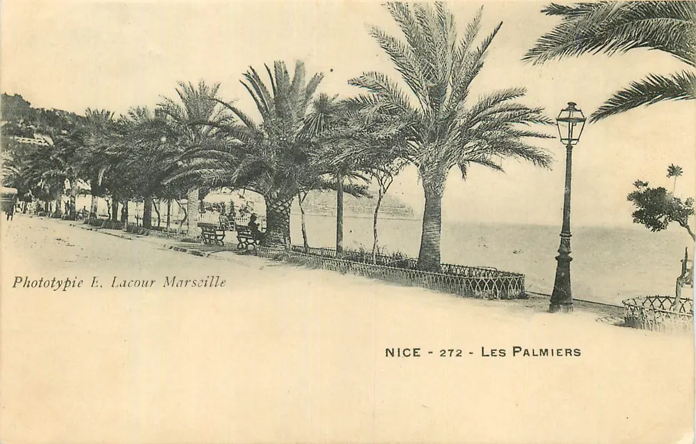 Nice - Os Palmieres — Fototipia E. Lacour Marselha - n°272 - Frente