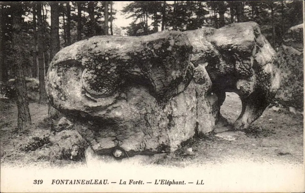 Fontainebleau — A Floresta — O Elefante — LL - Frente