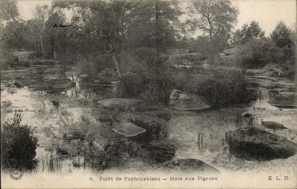 Bosque de Fontainebleau — Laguna de las Palomas — Ed. Barbillet - Anverso