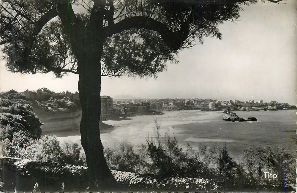 Vista da baia de Sanremo — Tito - Frente