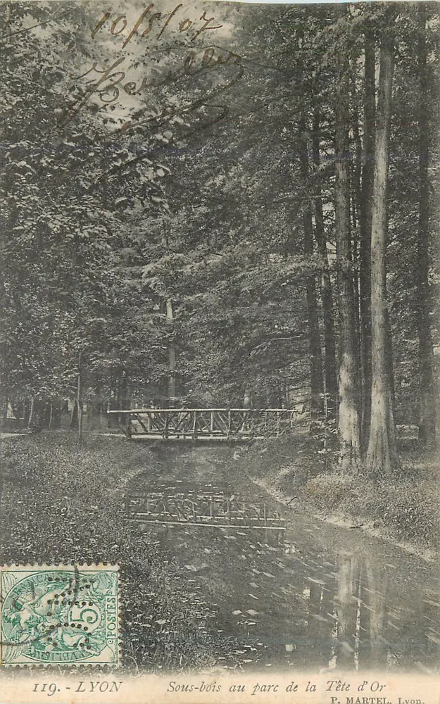 Dichter Wald im Parc de la Tête d'Or — P. Martel, Lyon — n°119 - Vorderseite